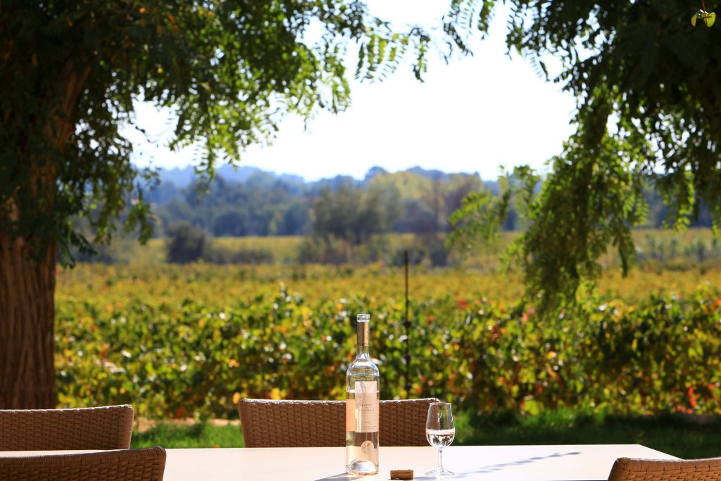 Château la Valetanne à La Londe les Maures