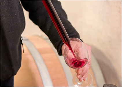 dégustation vin rouge