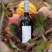 vin présenté de façon élégante