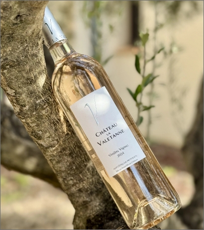vin rosé vieilles vignes présenté
